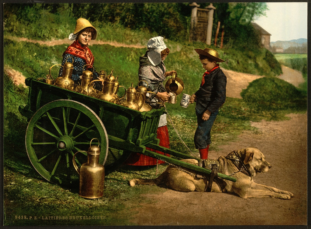 milk seller person boy free photo