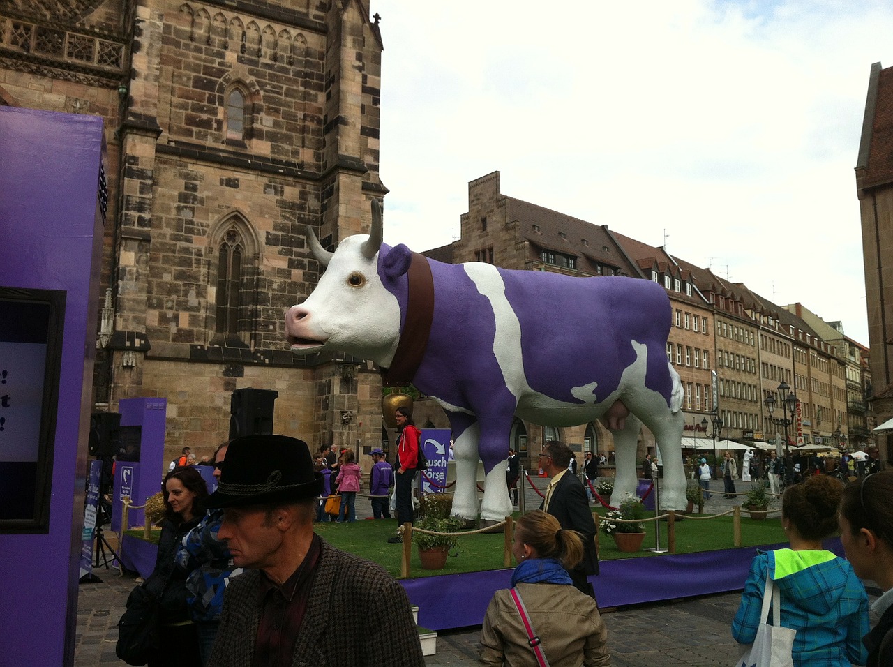 milka cow purple nuremberg free photo