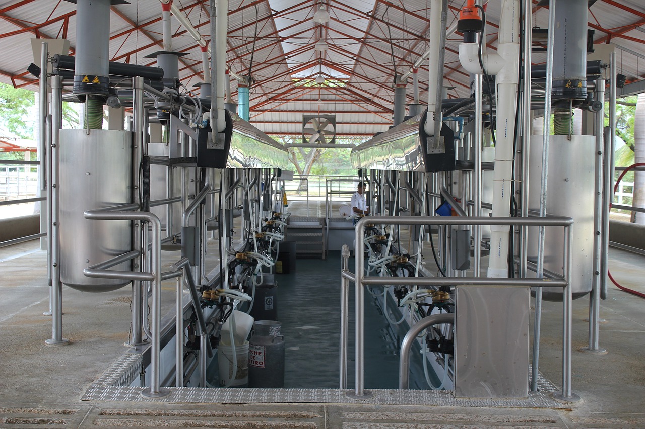 milking milking installation order free photo