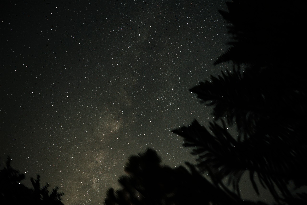 milky way trees space free photo