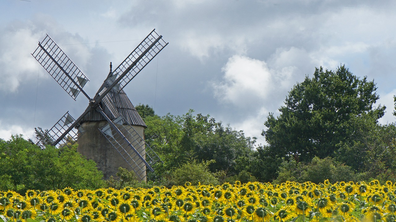 mill sunflower landscape free photo