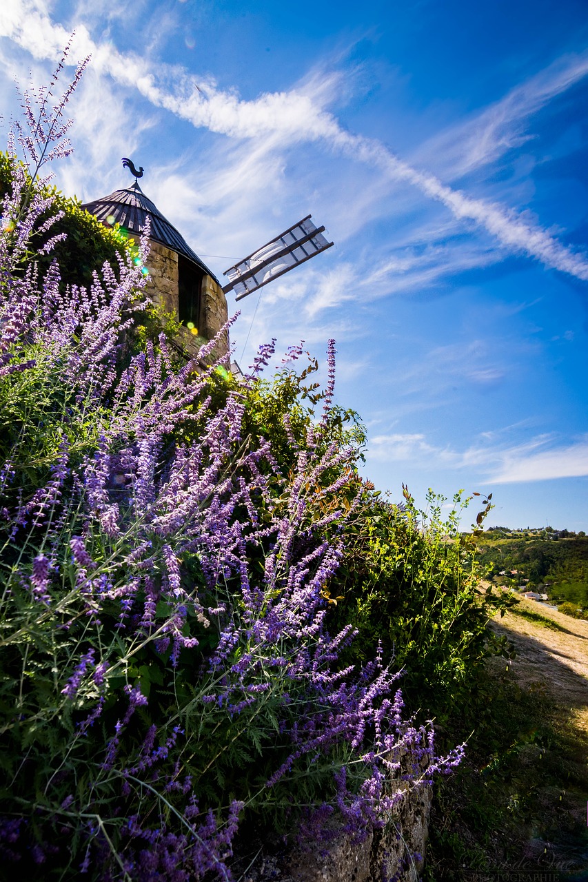 mill lautrec medieval free photo