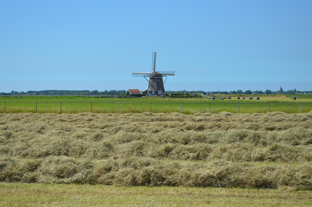 mill  landscape  air free photo