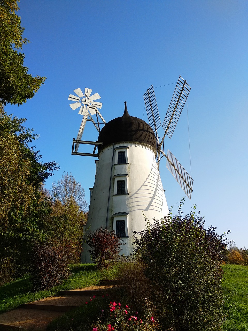 mill  nature  gifhorn free photo