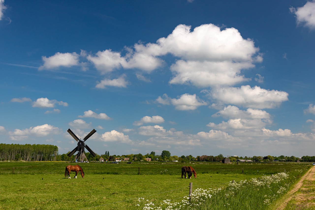 mill  landscape  wind mill free photo