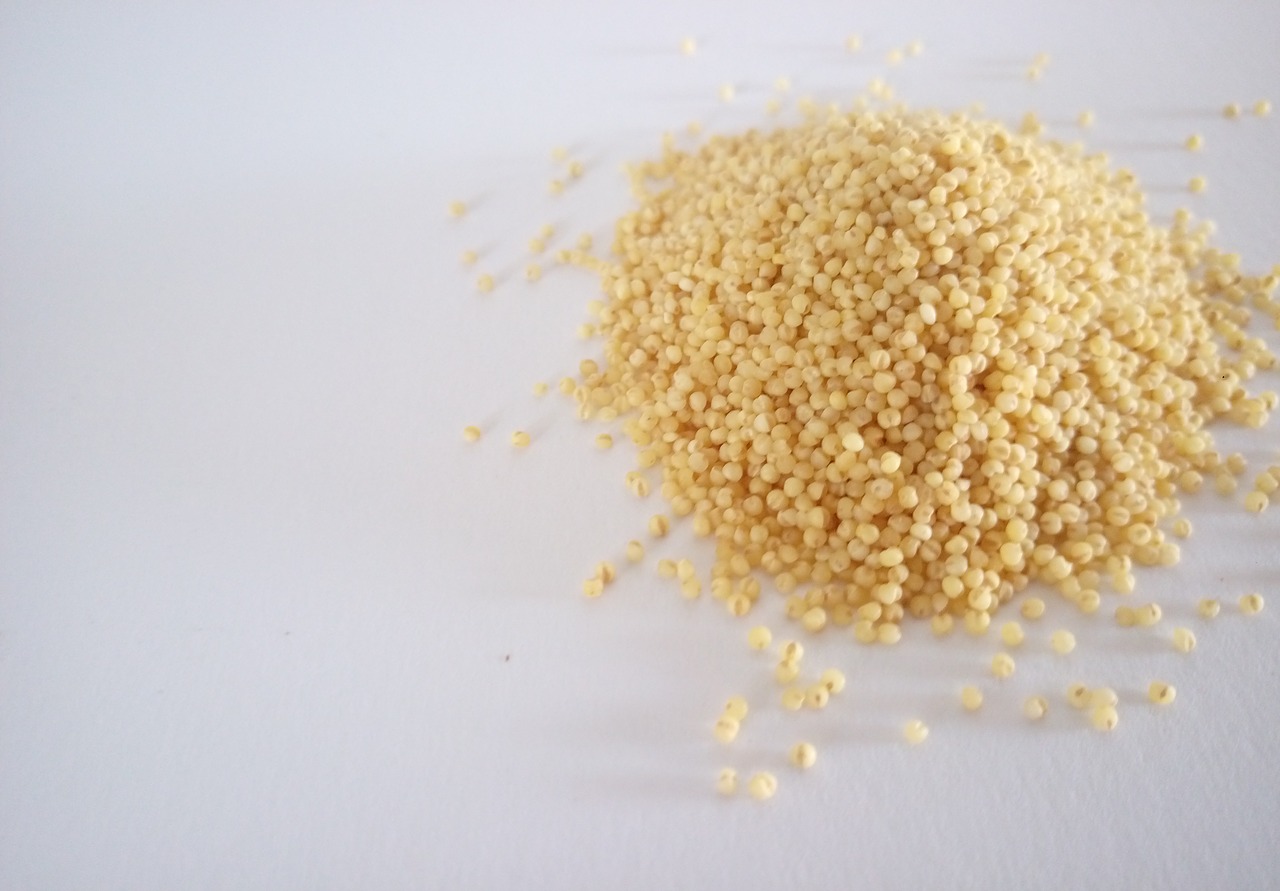 millet  food  grain free photo