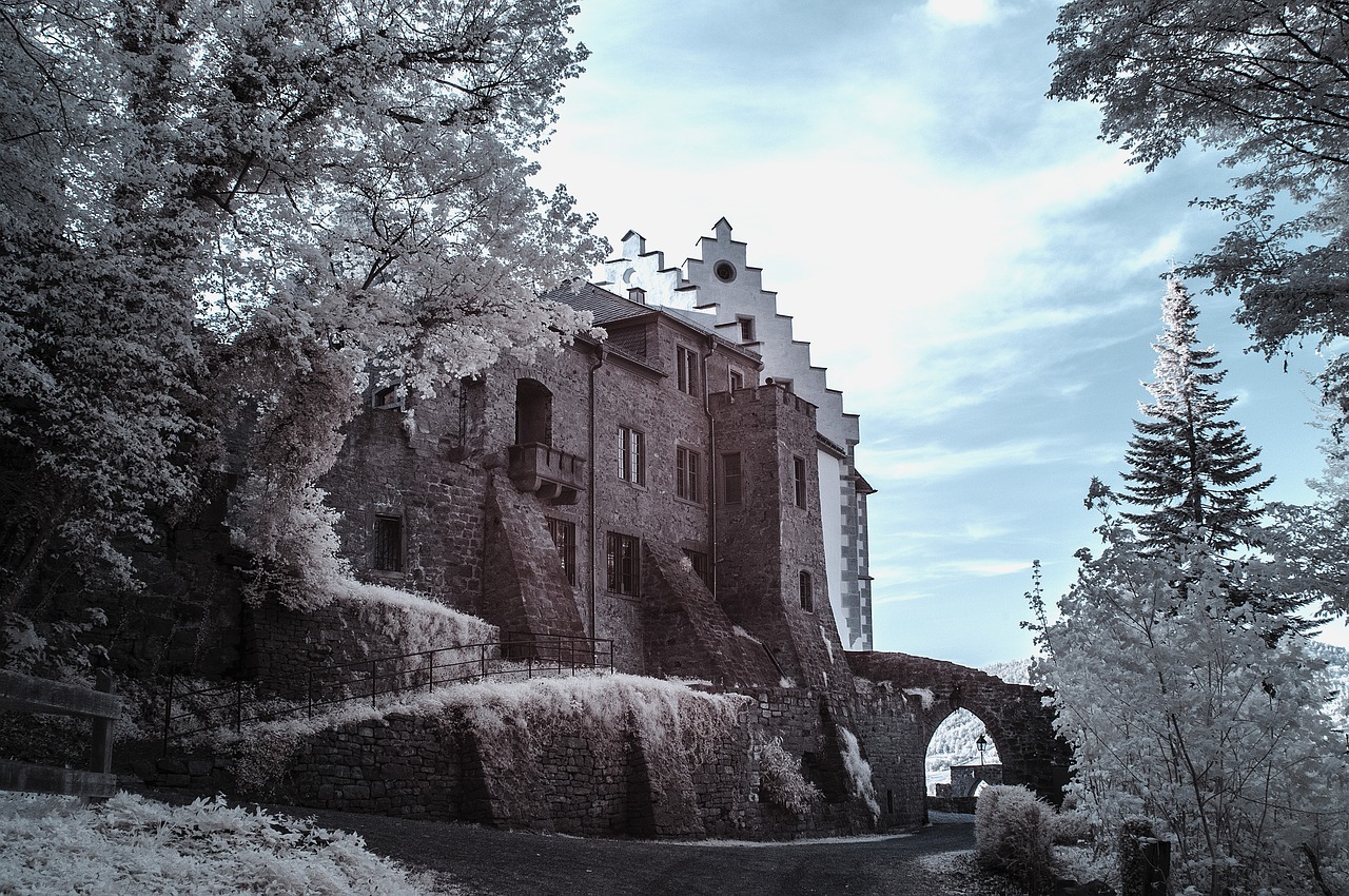 miltenberg castle places of interest free photo