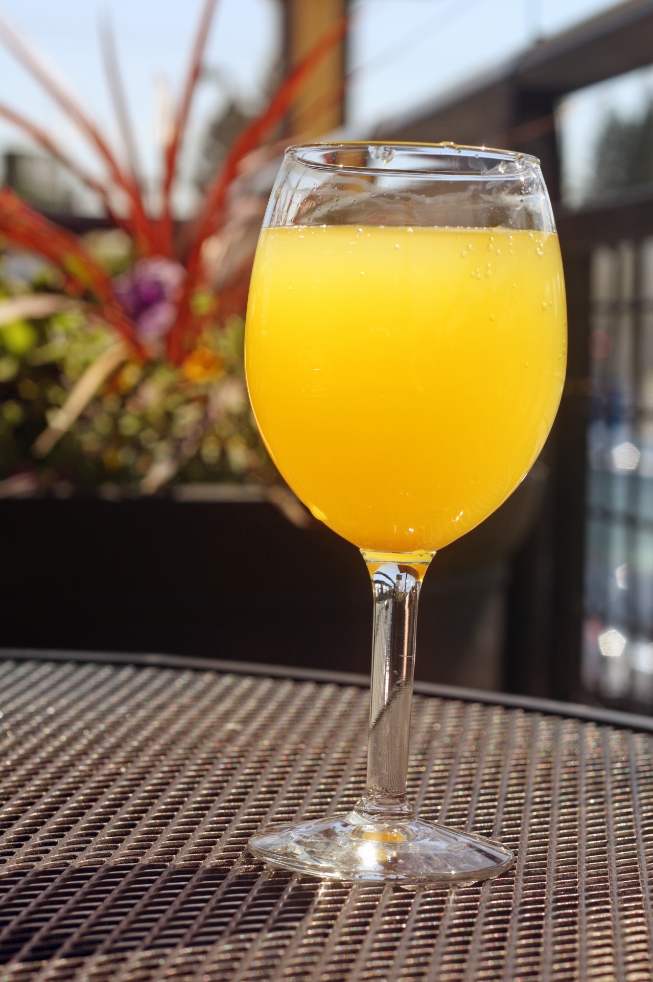 mimosa drink alcohol free photo