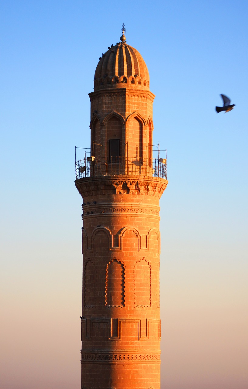 minaret cami bird free photo