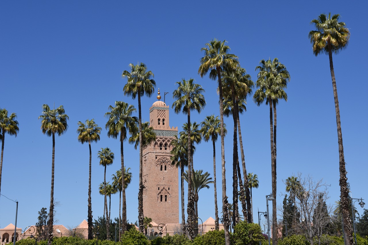 minaret  palm trees  travel free photo