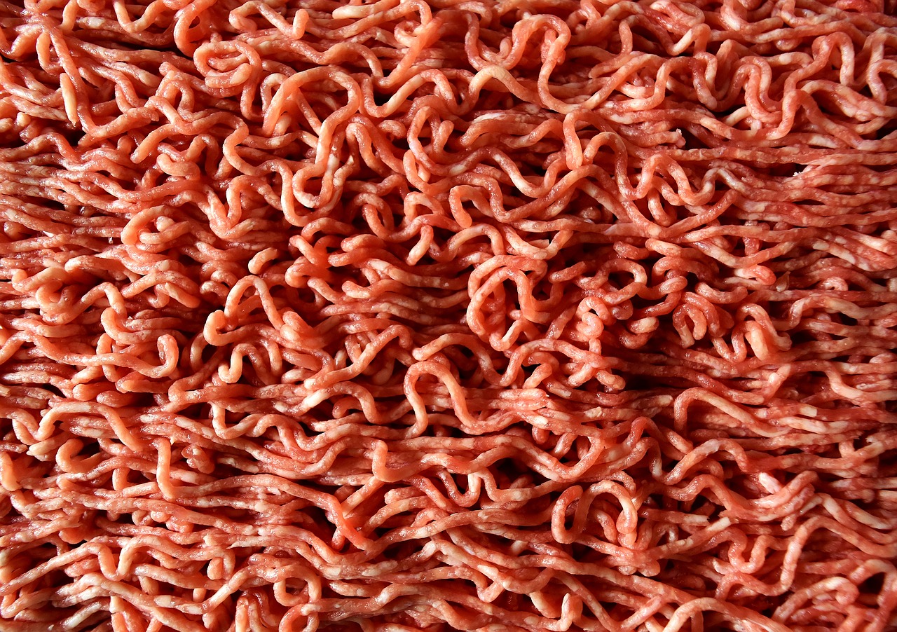 minced meat raw eat free photo