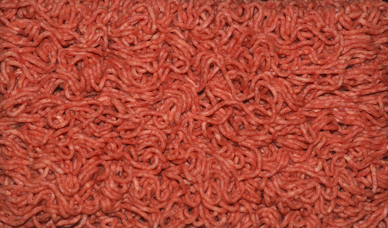 minced meat raw minced ' meat free photo
