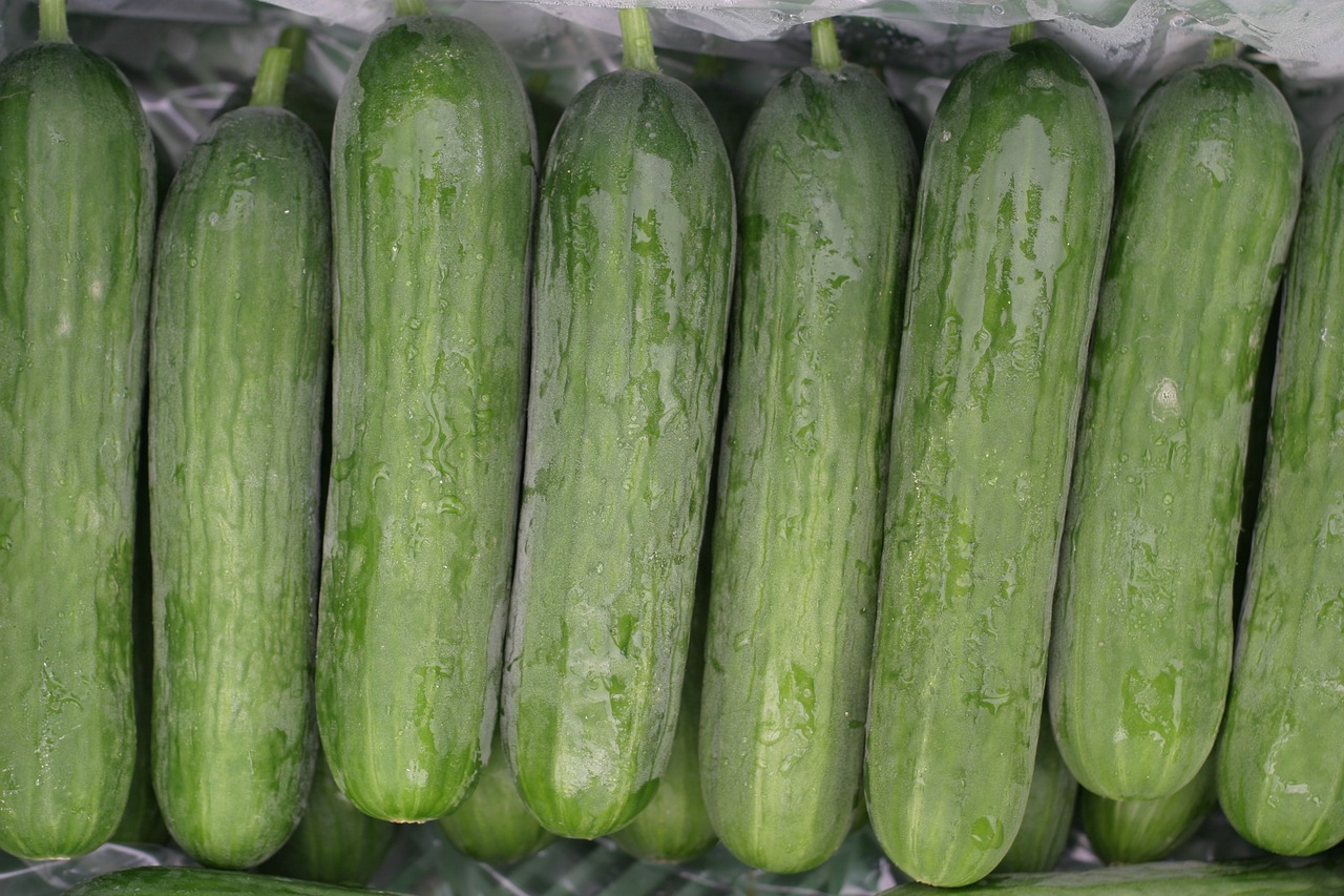 mini cucumbers cucumbers salad free photo