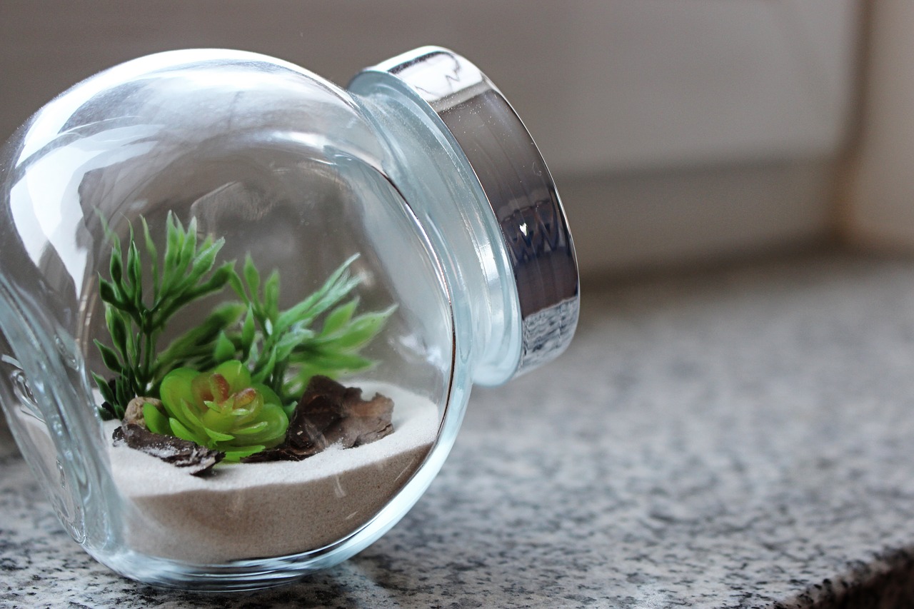 miniature  minimalist  glass free photo