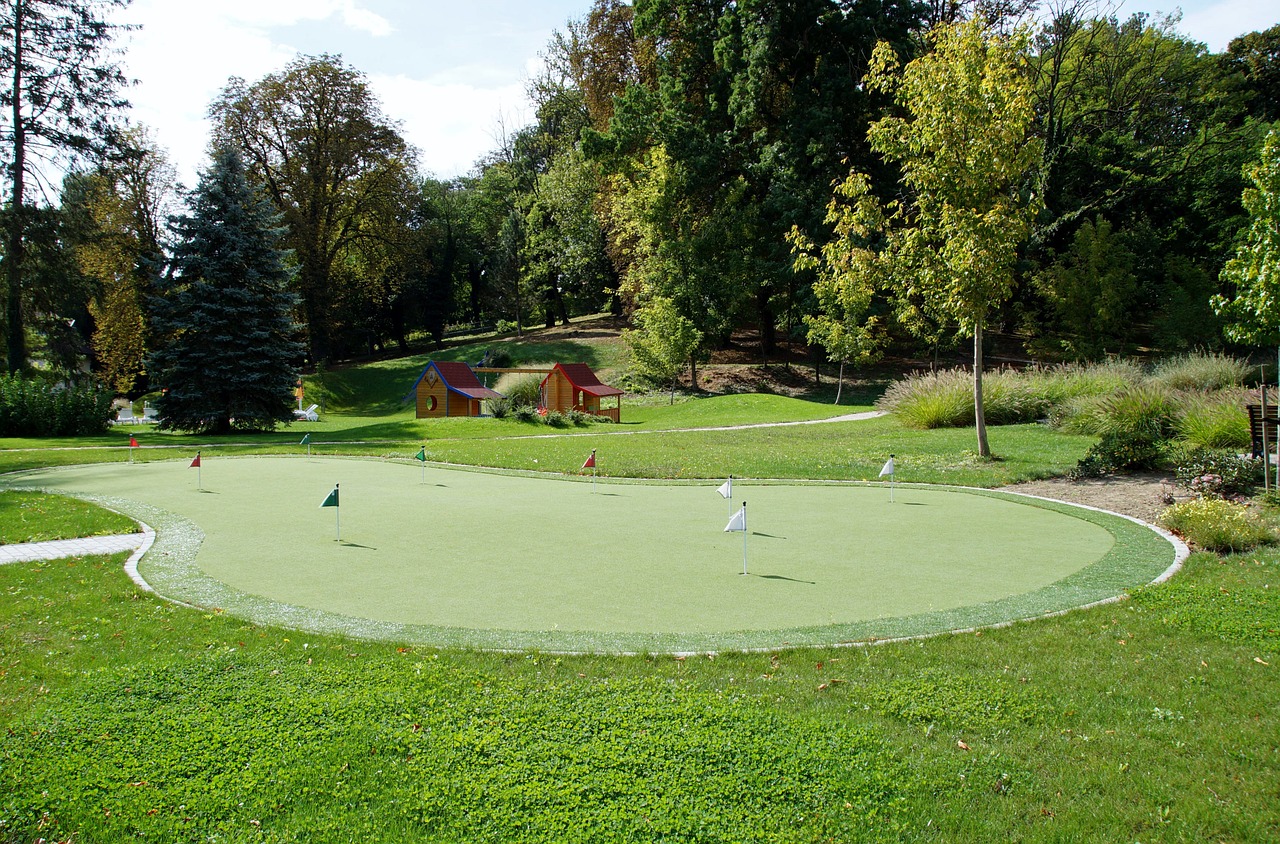 miniature golf field sport free photo