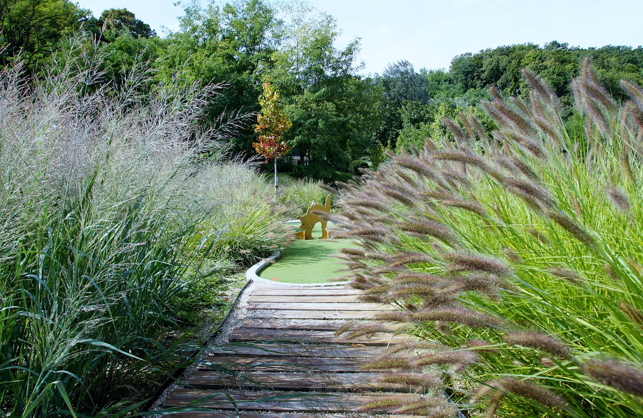 miniature golf grasses post free photo