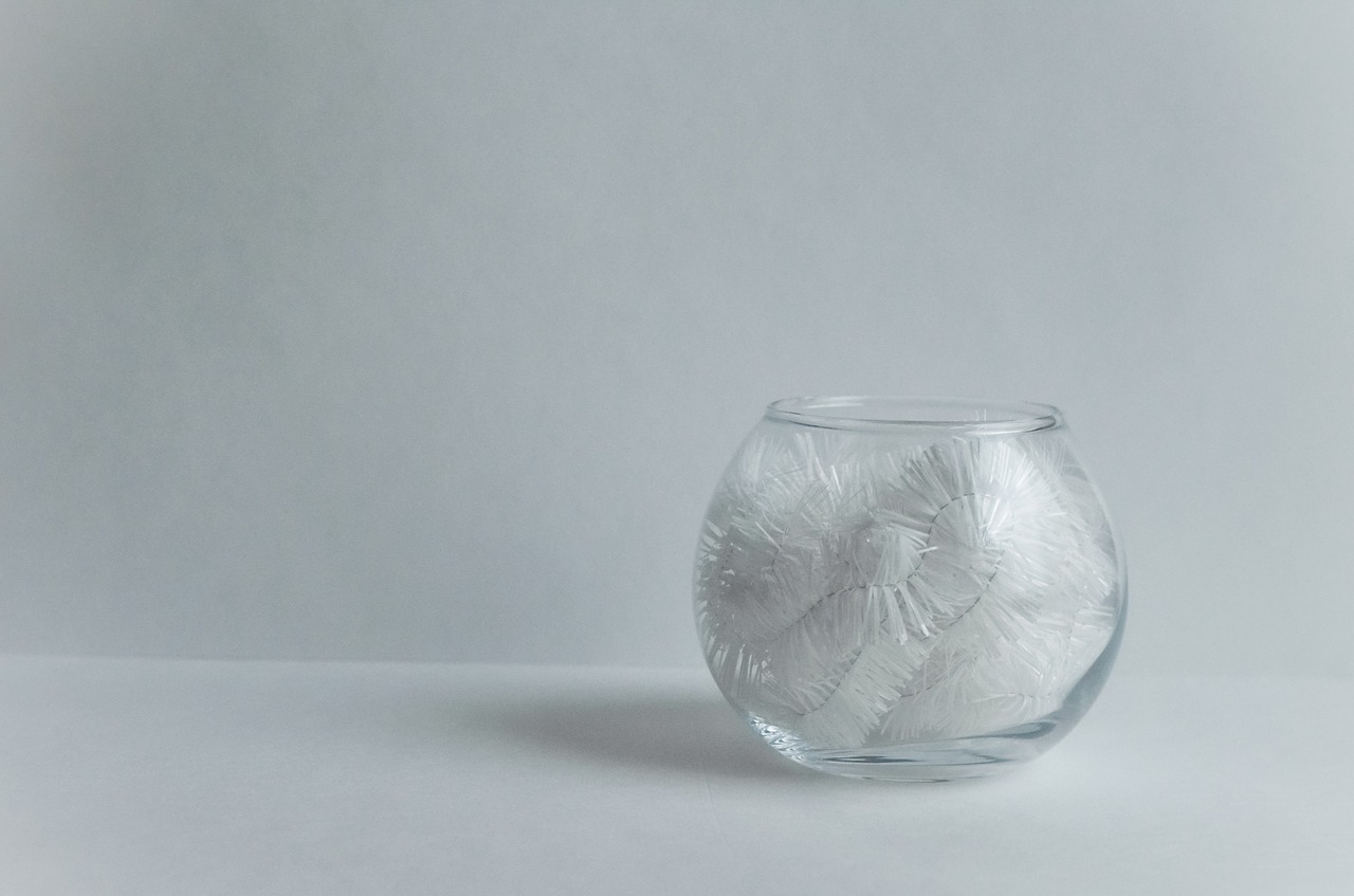 minimalism  vase  white free photo