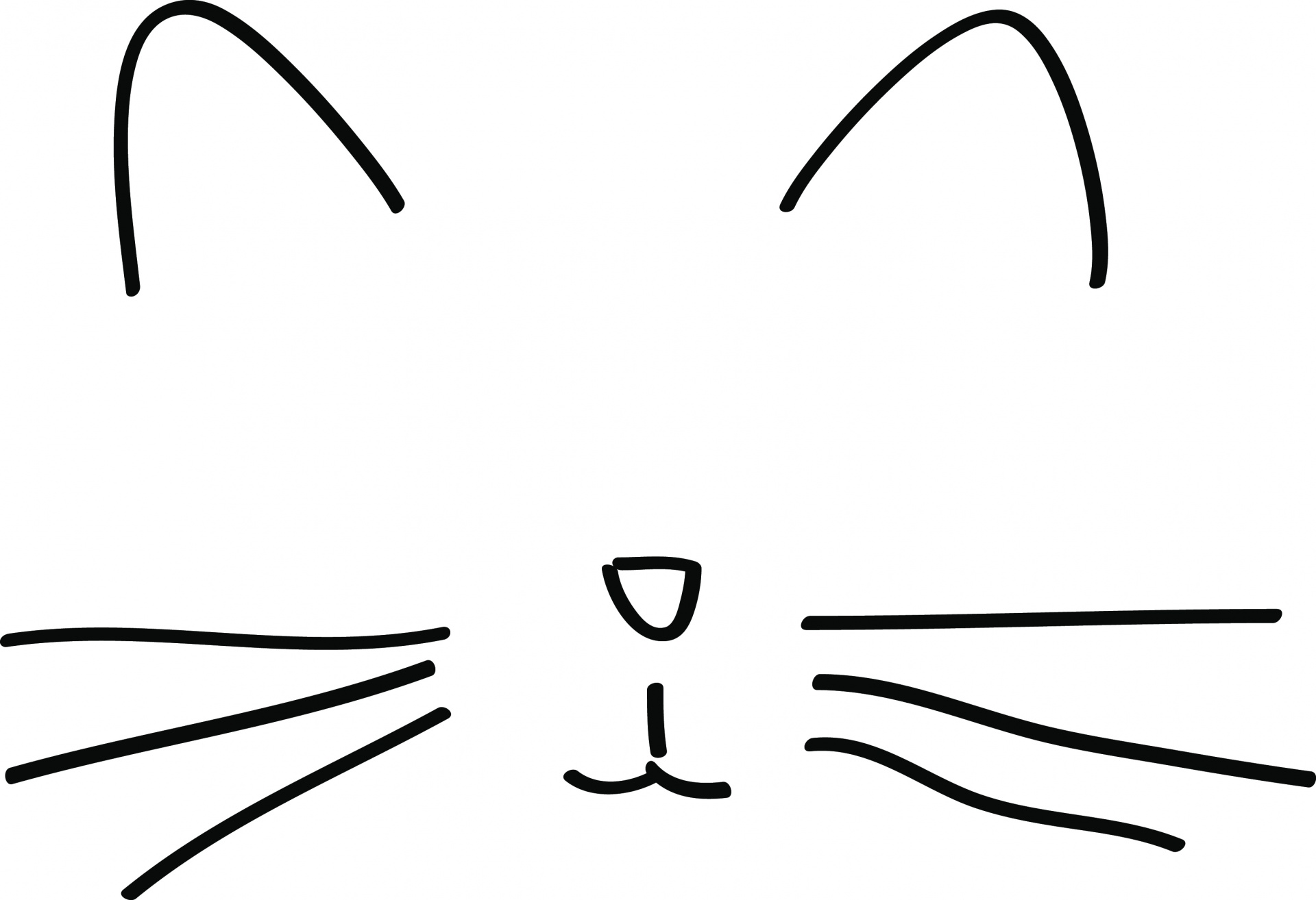 How to draw cat whiskers on face for halloween gail's blog