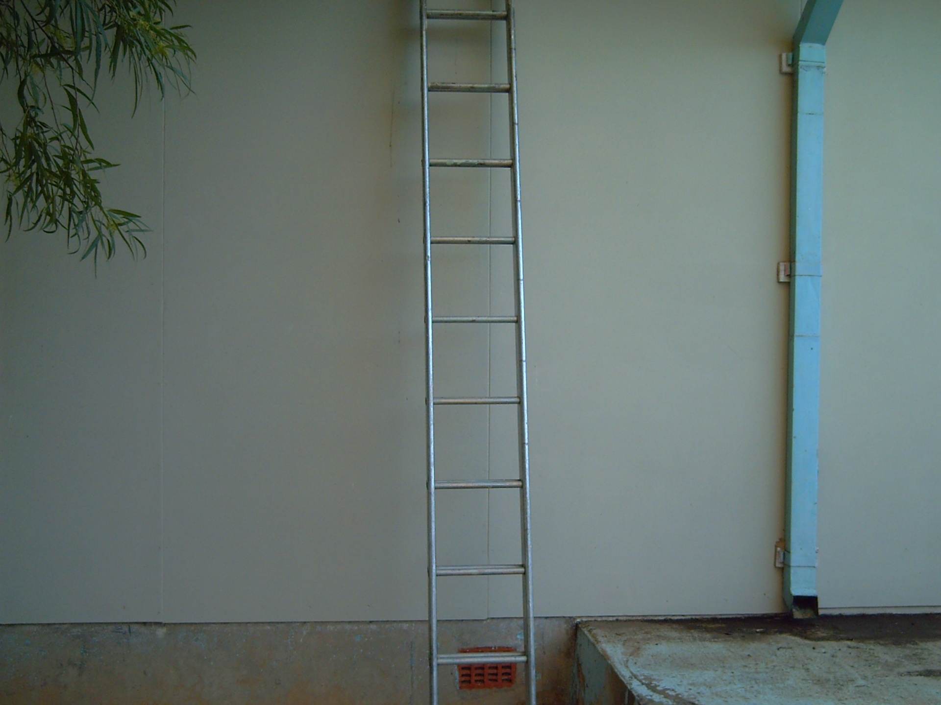 ladder leaves gutter free photo