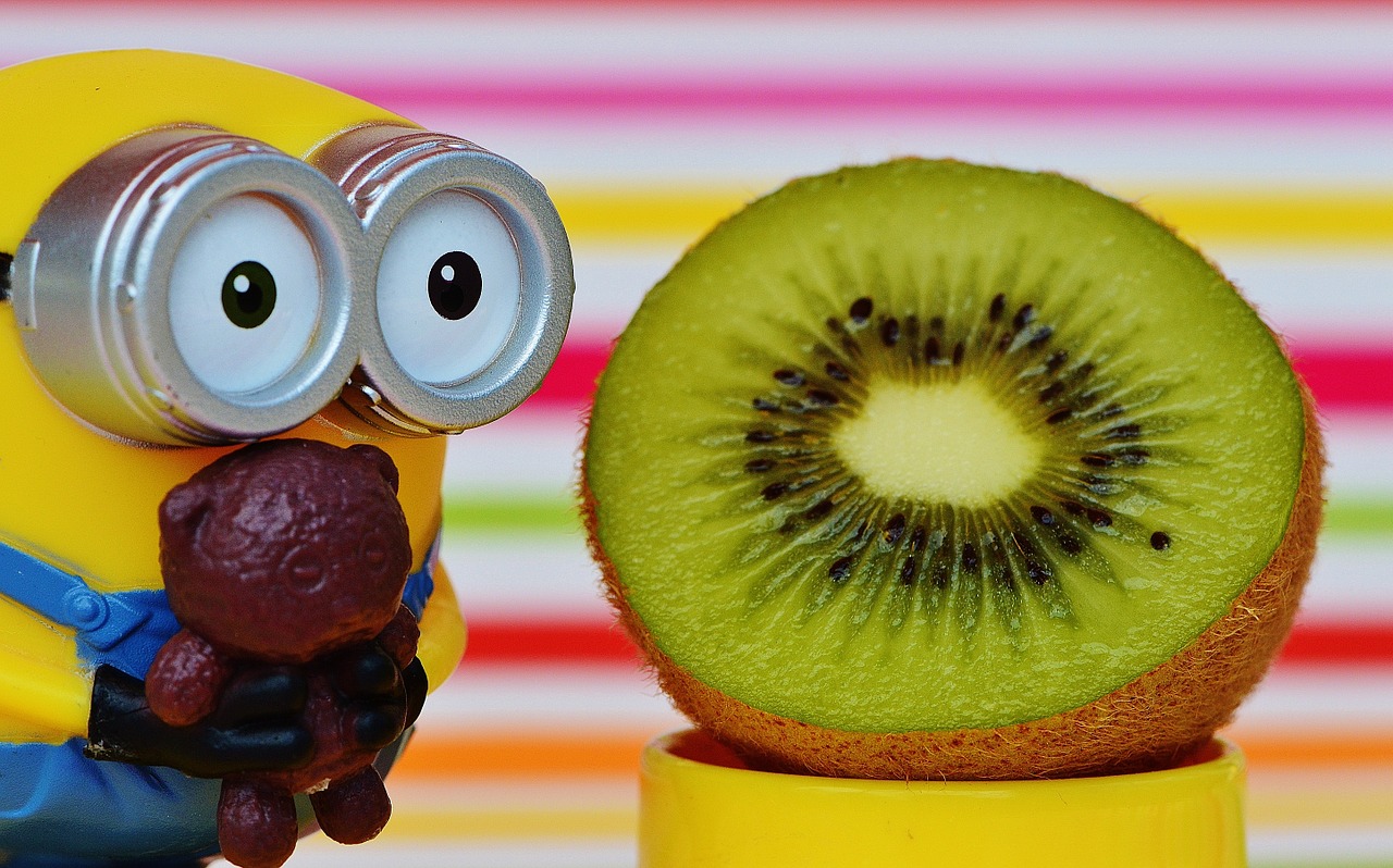 minion funny kiwi free photo