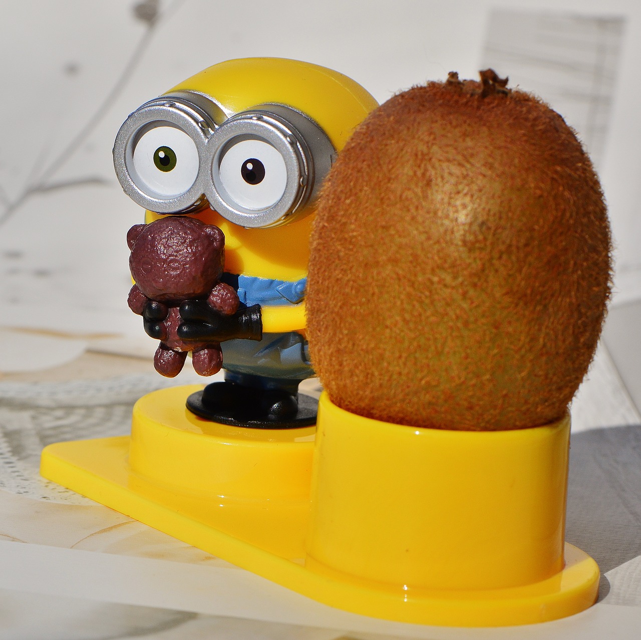 minion funny kiwi free photo