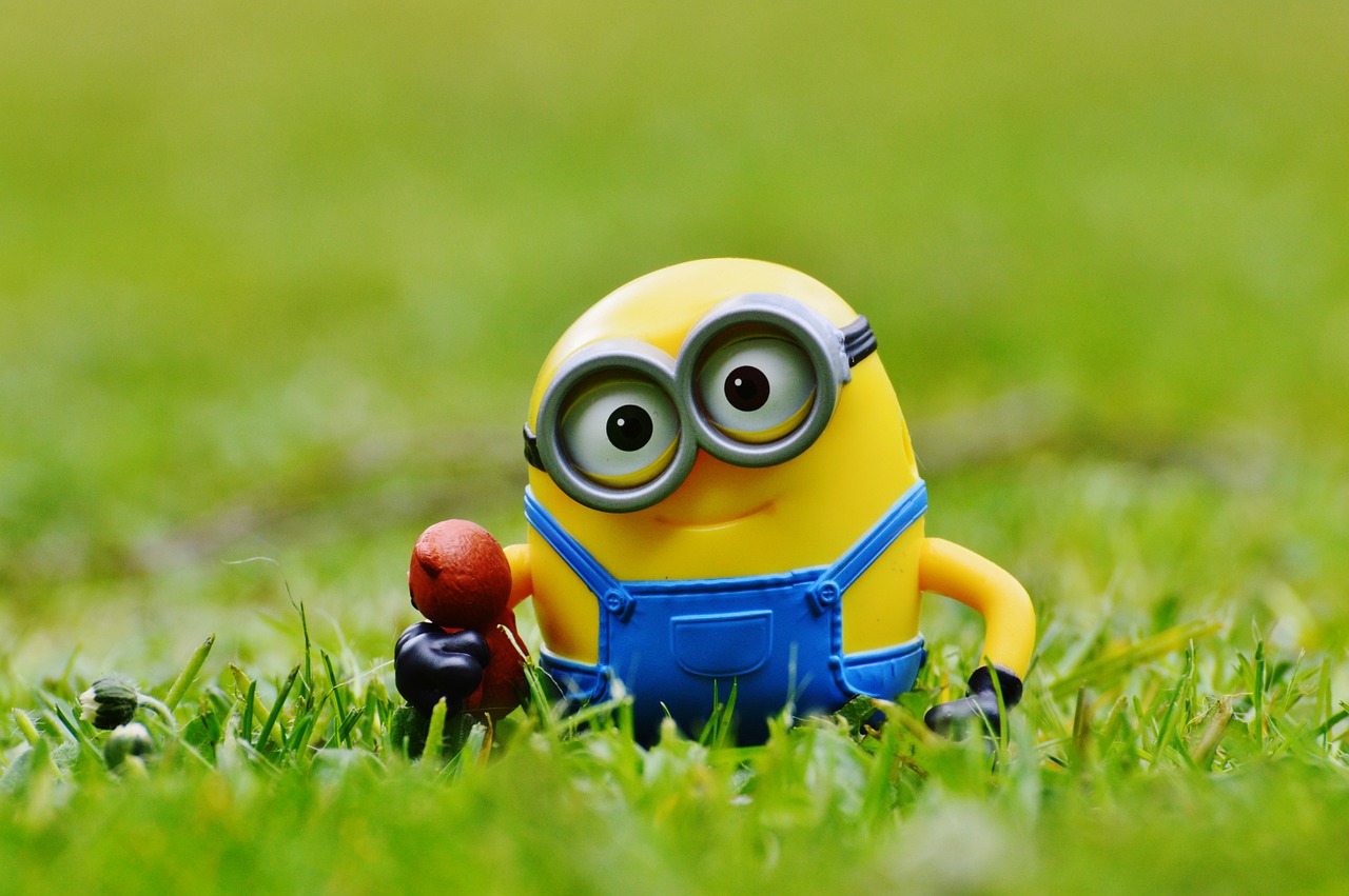 minion funny meadow free photo