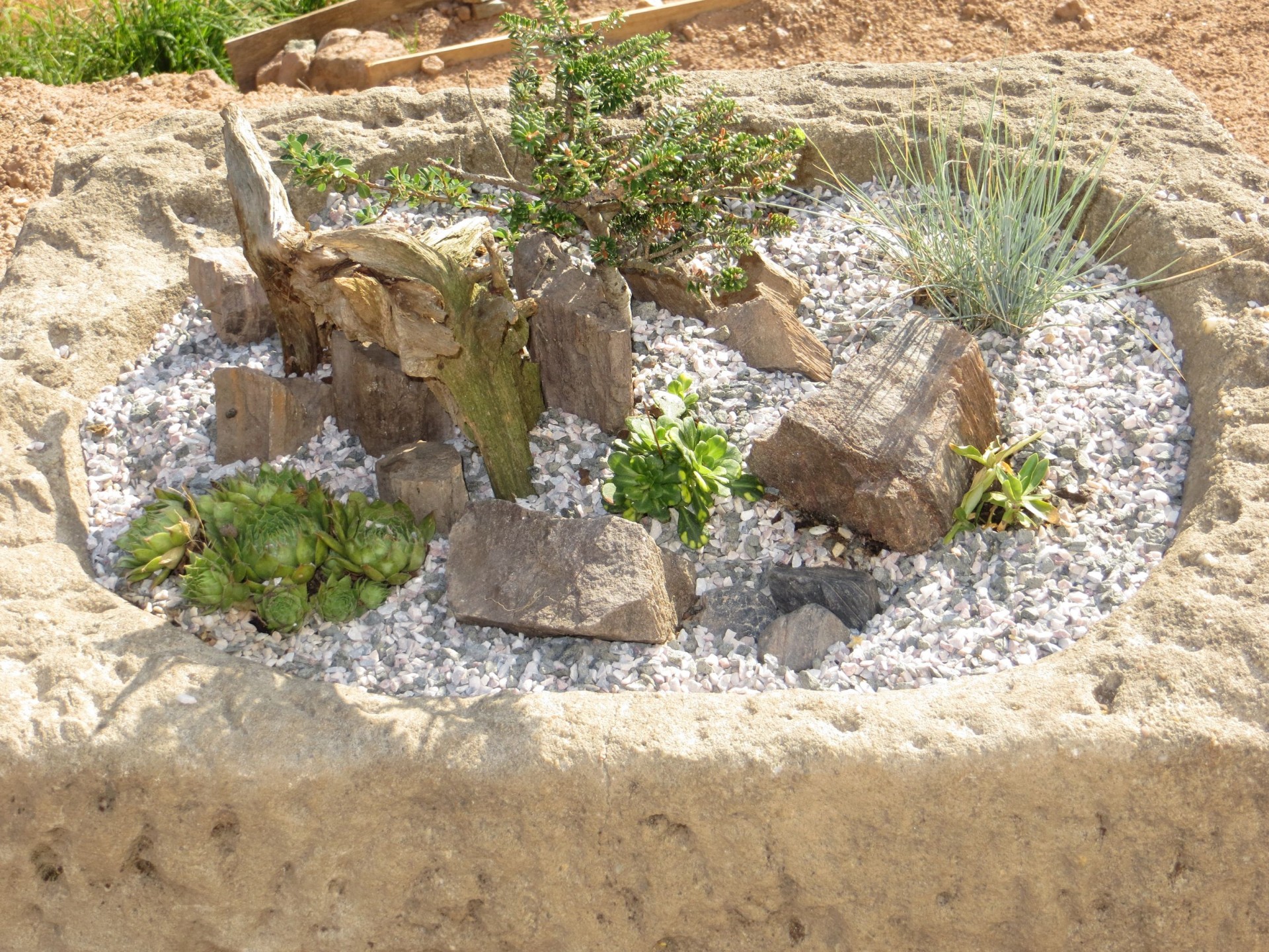 garden stone flower free photo