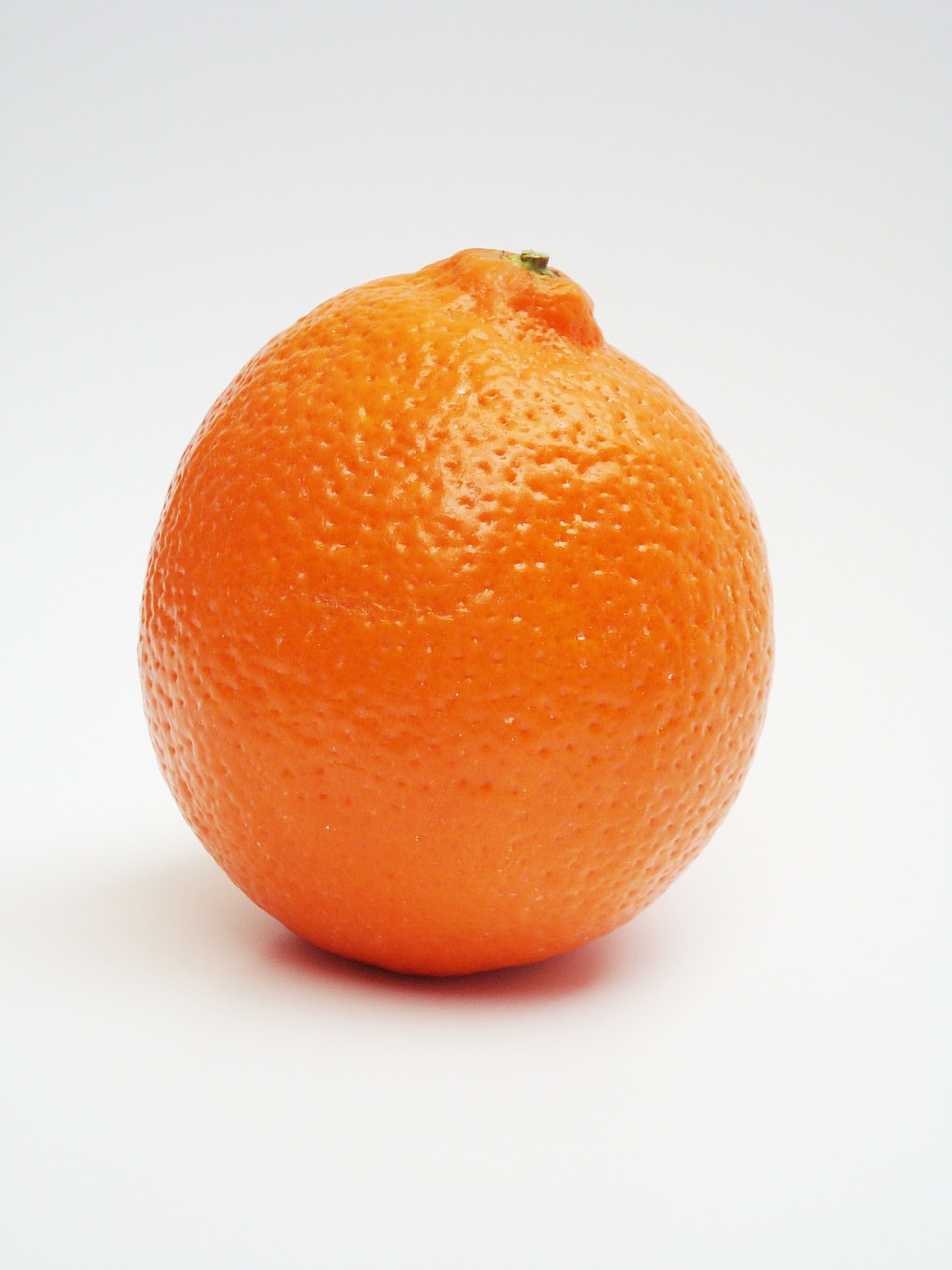 minneola citrus fruit grapefruit free photo