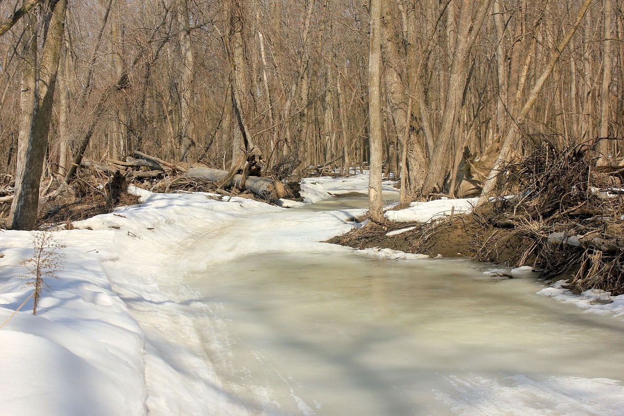 minnesota usa minnesota valley state park free photo