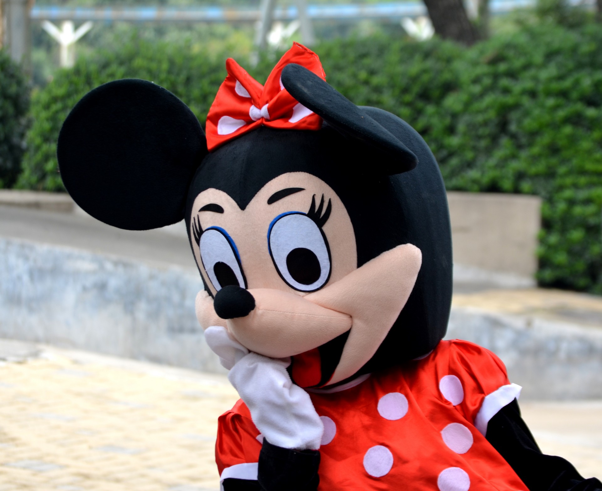 other minnie mouse animal free photo