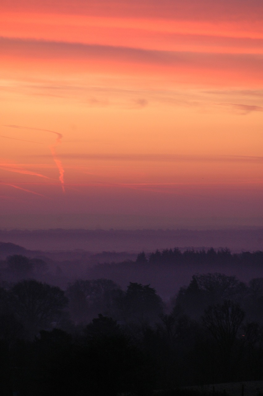 minstead forest sunrise free photo