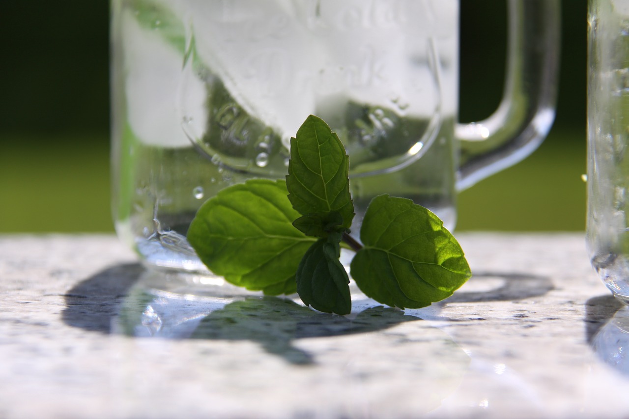 mint glass drink free photo