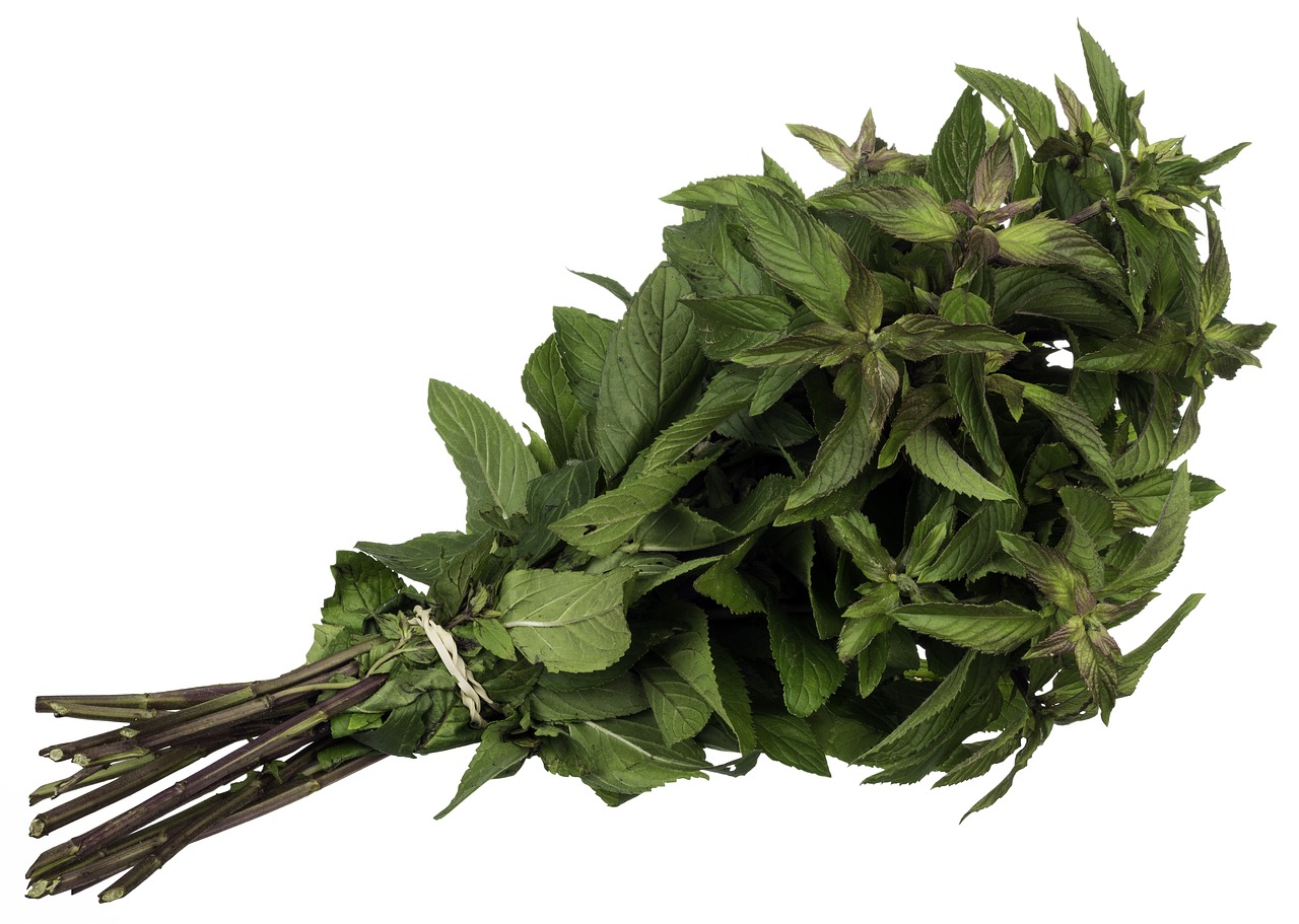 mint spice herb free photo