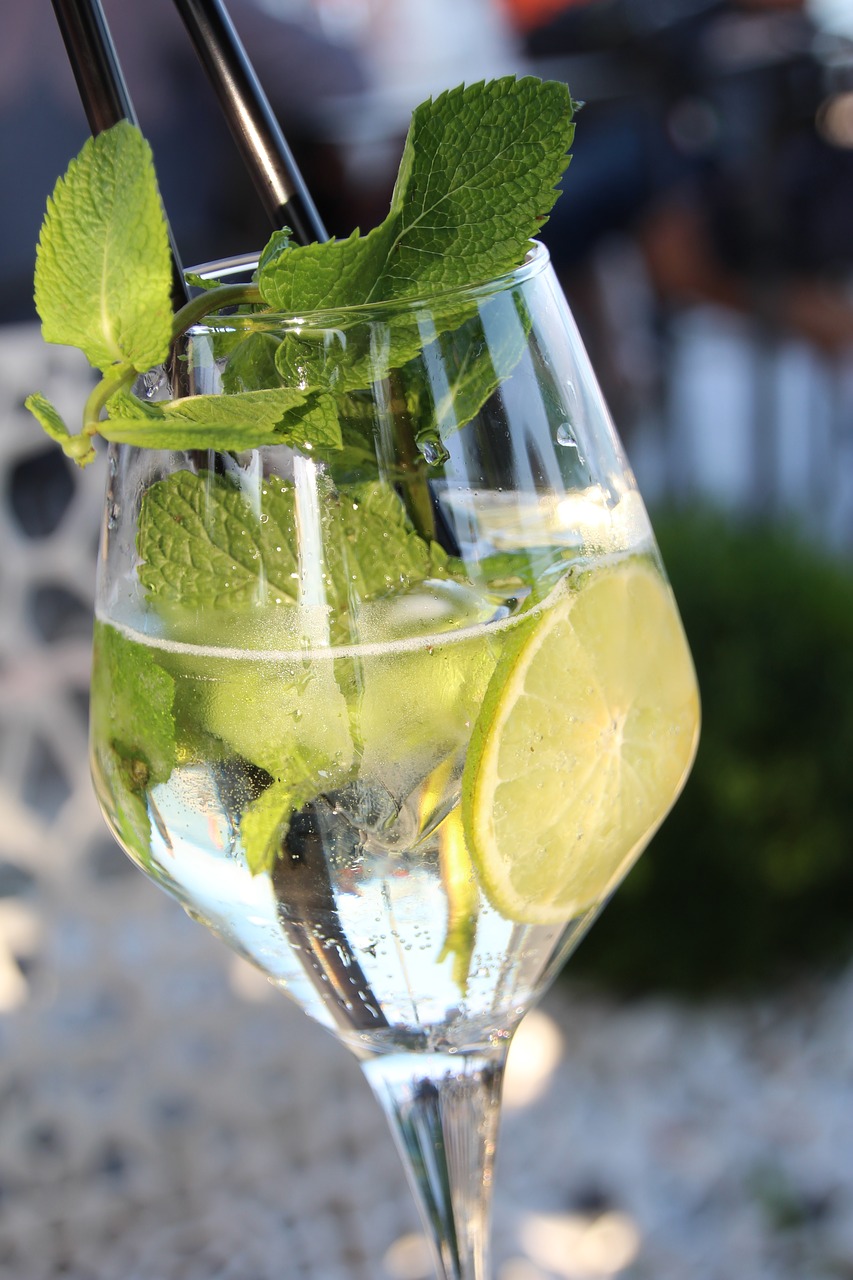 mint lime drink free photo