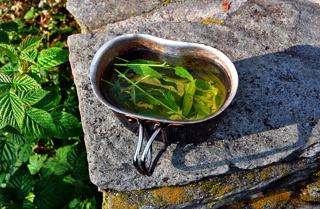 mint tea dish free photo