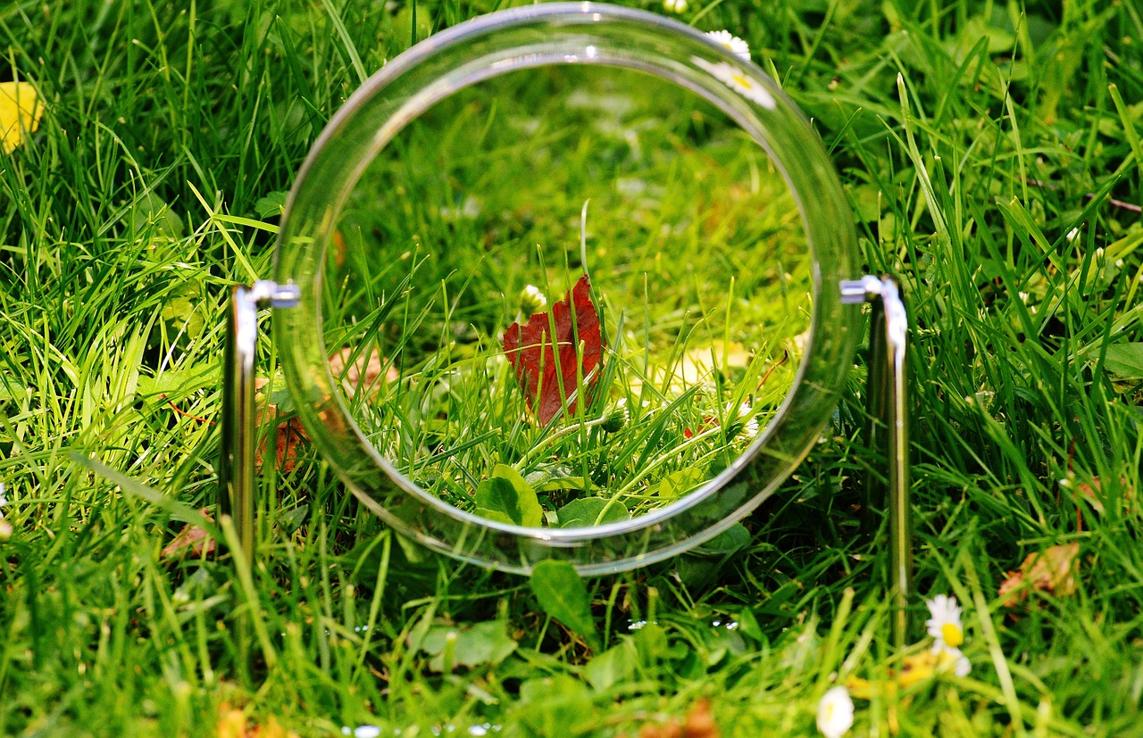 mirror meadow mirror image free photo
