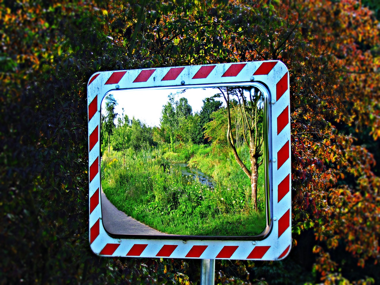 mirror reflection green free photo