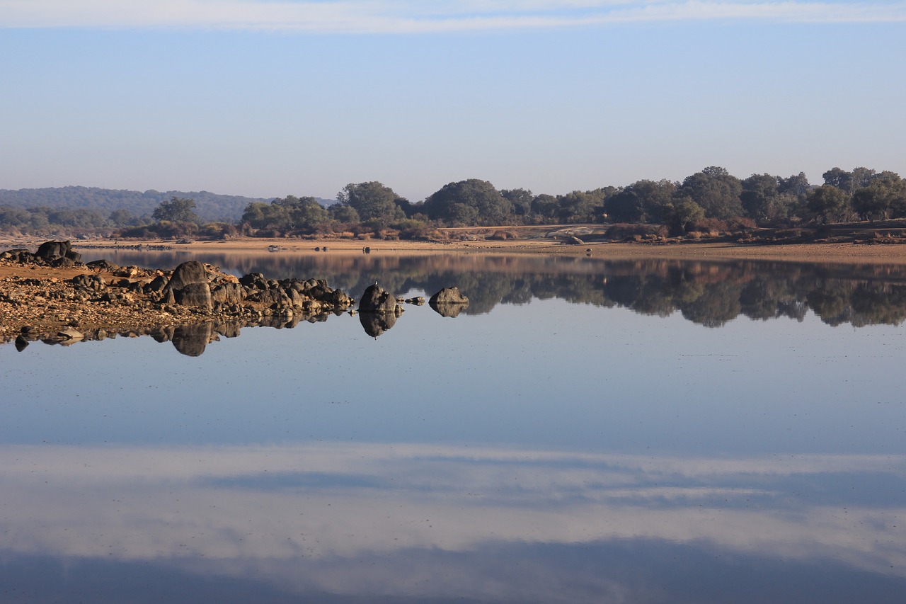 mirror  sea  mirroring free photo