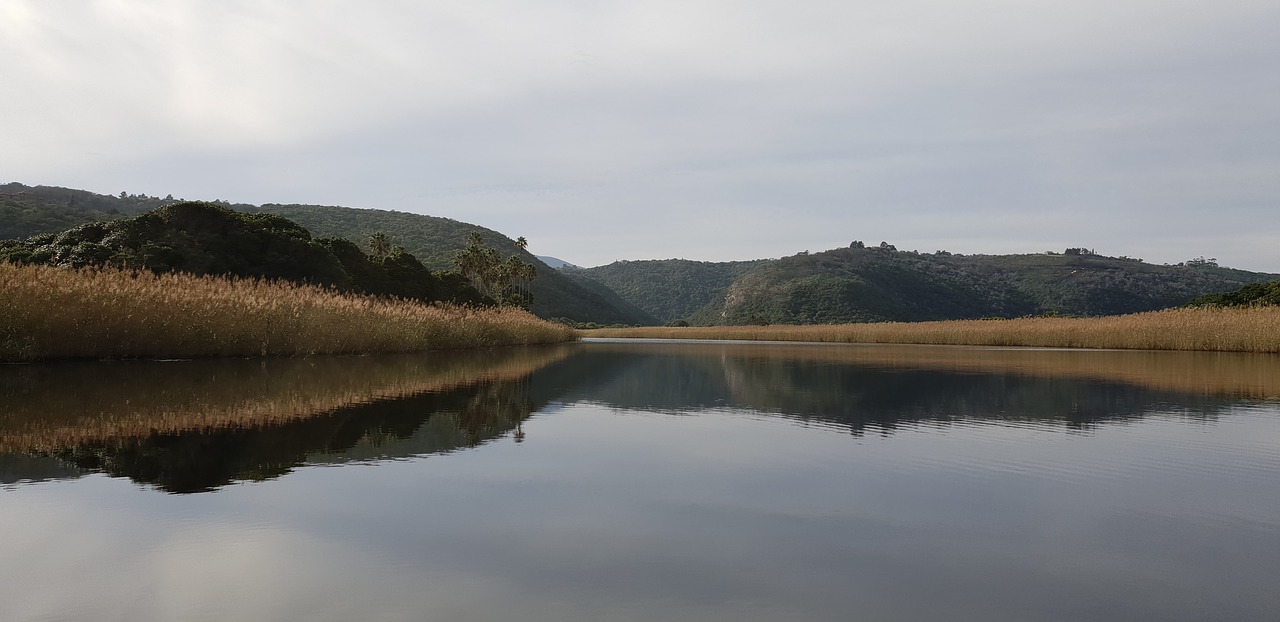 mirror  symmetry  outdoor free photo