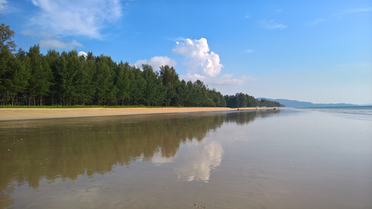 mirror  water  beach free photo