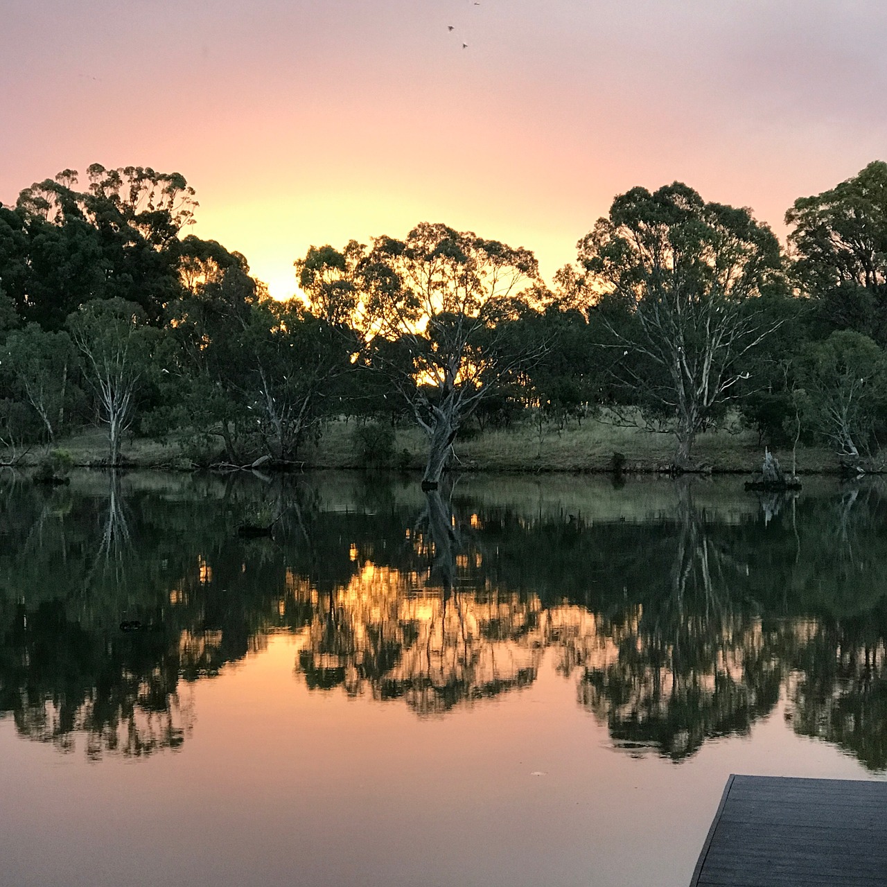 mirror image water goulburn weir free photo