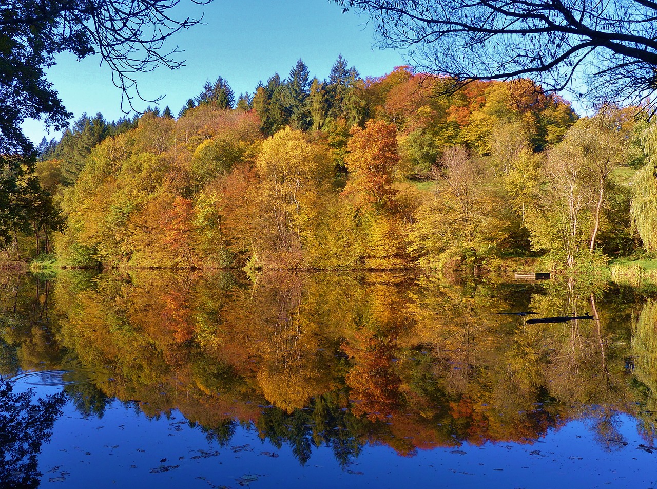 mirror image fall foliage autumn on lake free photo