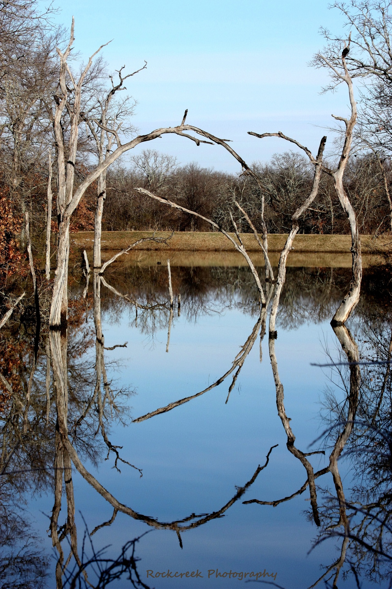 nature landscape water free photo