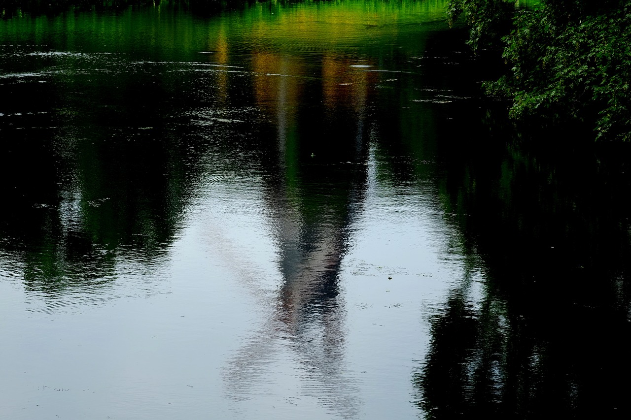 mirroring water nature free photo