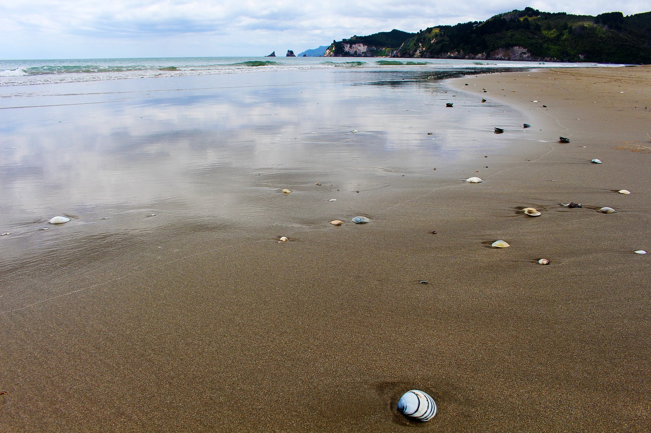 mirroring beach new zealand free photo