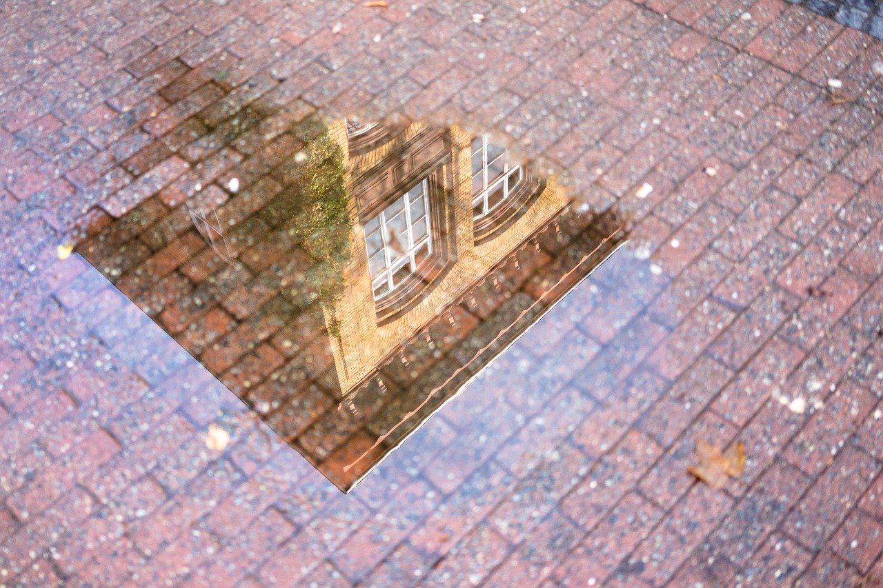 mirroring puddle building free photo