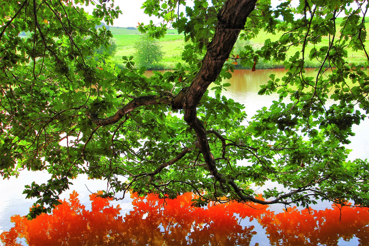 mirroring water red free photo