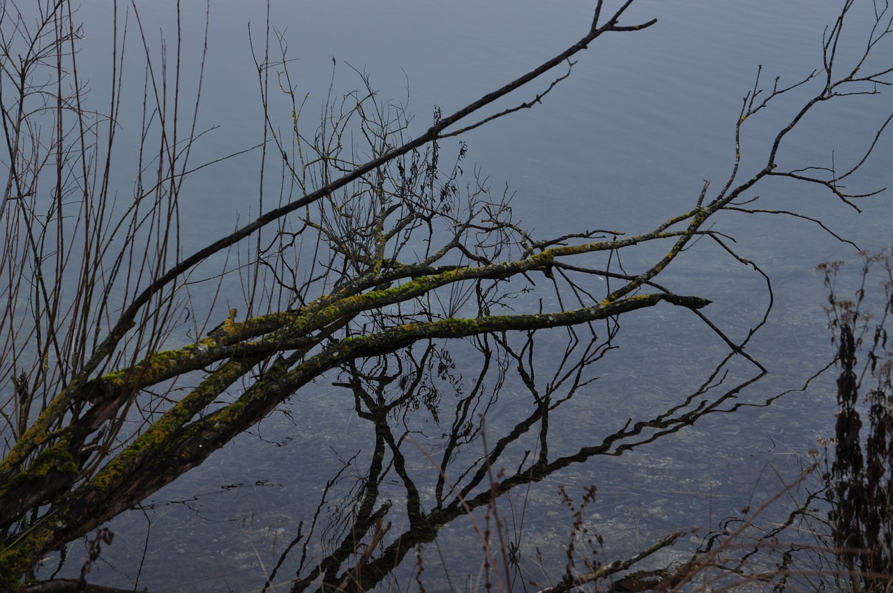 mirroring lake water free photo