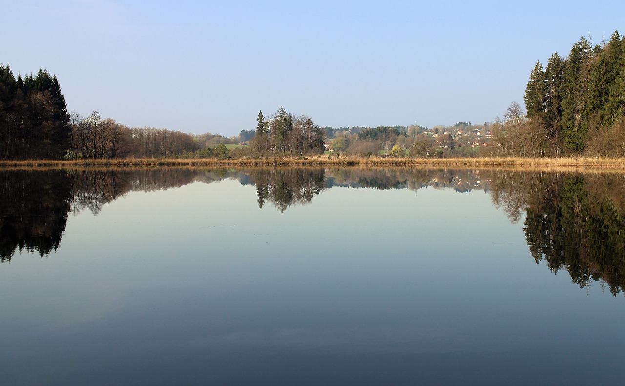 mirroring reflections nature free photo