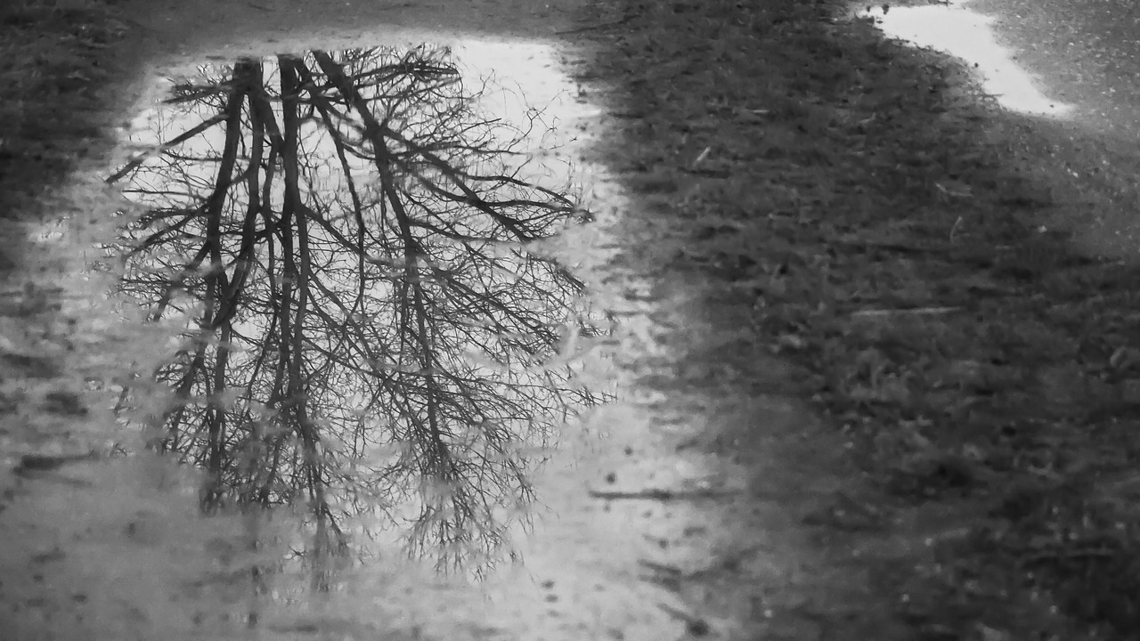 mirroring puddle black and white free photo